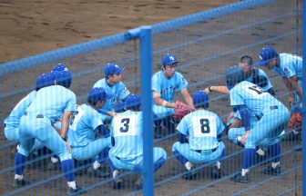 日本体育大学柏高等学校硬式野球部後援会 | 千葉県柏市の日体大柏 